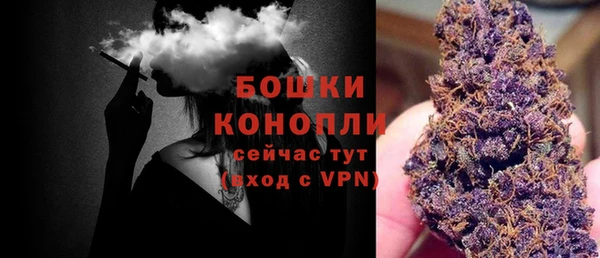 дурь Снежногорск