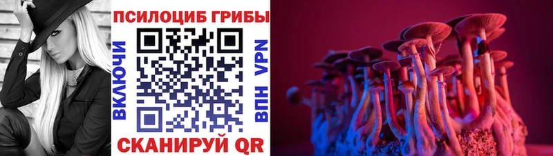 Псилоцибиновые грибы MAGIC MUSHROOMS Саратов